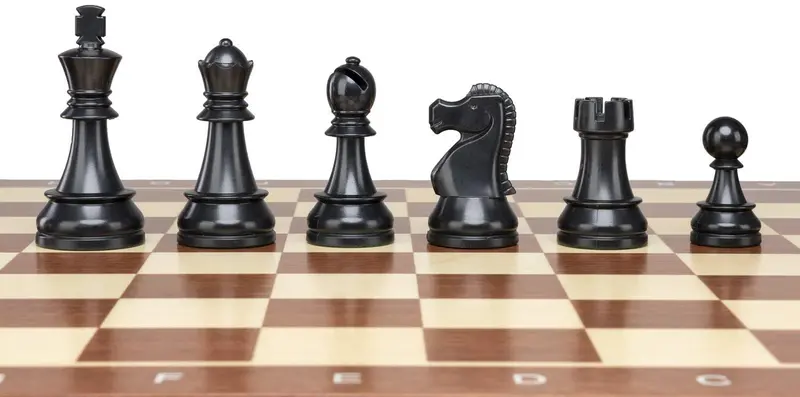 10882-A Dgt Club Pack Chess Board 1