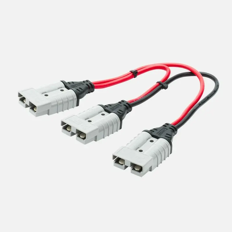 1Ft (0.3M) Anderson? Series Cable 1