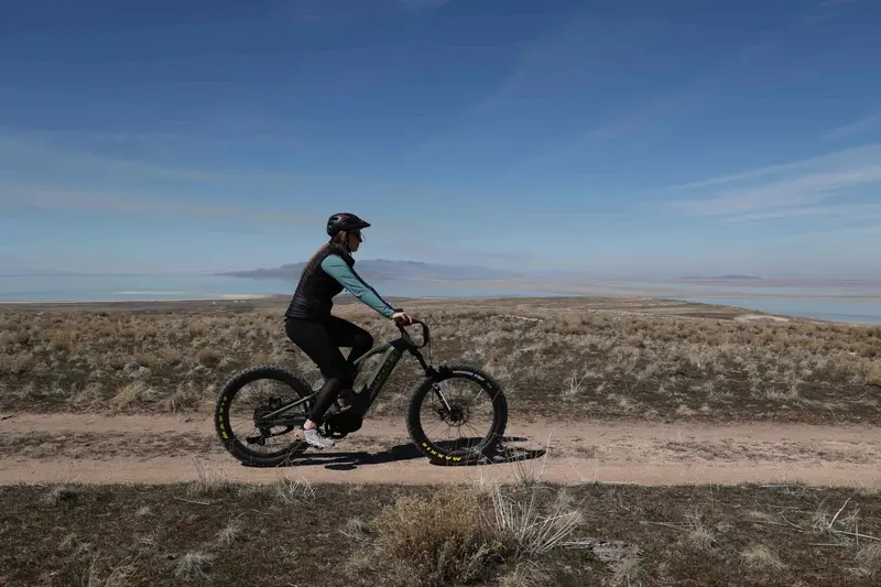 Bakcou Scout Ebike 1