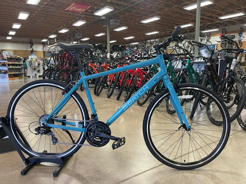Batch Fitness Hybrid Bicycle 1
