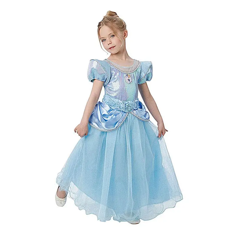 Dis Cinderella Premium Costume 1