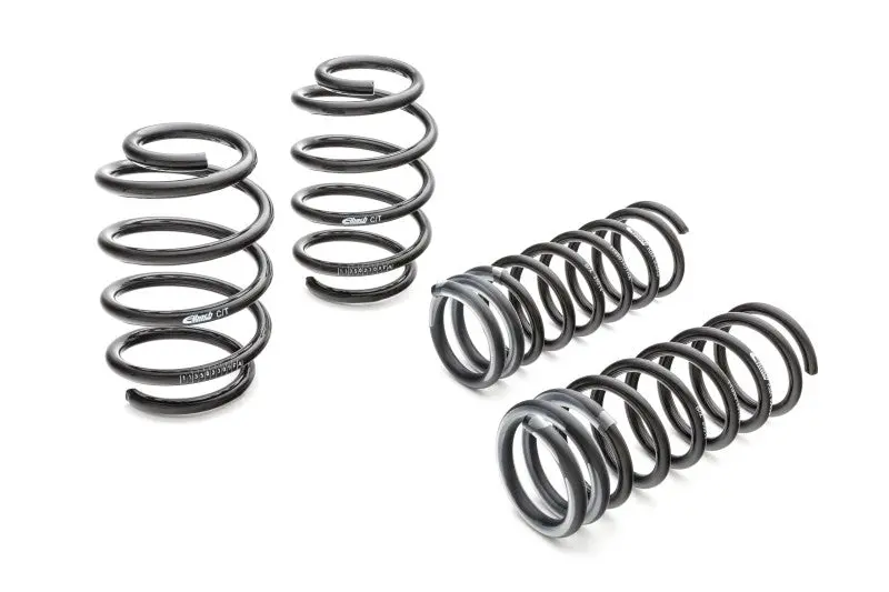 Eibach Pro-Kit For 17-20 Tesla 3 Long Range 1
