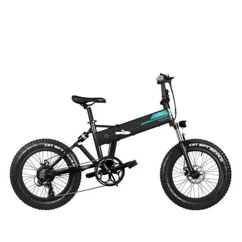 Fiido E-Bike Folding M1 Black Fat Tyre 1