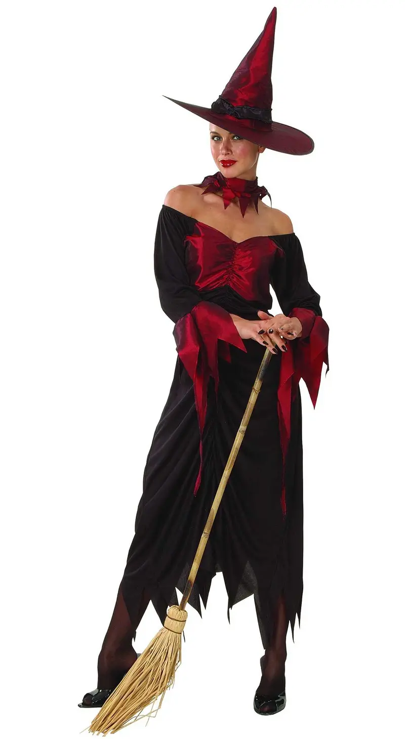 Halloween Wicked Witch Adult Costume For Ladies 1