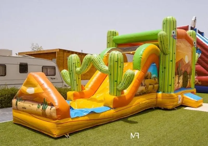 Inflatable Waterslide Desert Theme 1