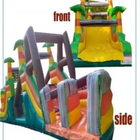 Jungle Challenge 1