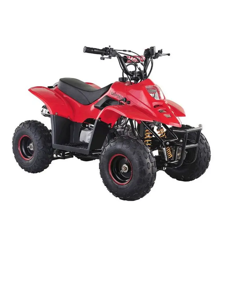 Petrol Quad Desert Buggy Single Cylinder 4-Stroke Speed Up To 40 Km 6 To 12 Yrs 1