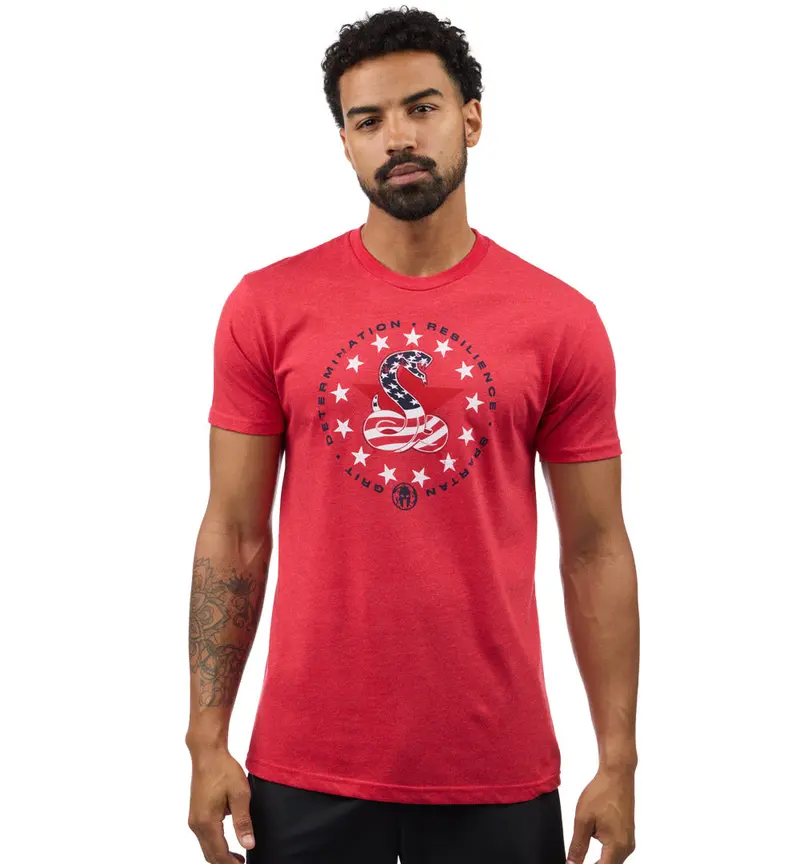 Spartan Stars & Stripes Tee - Men's 1