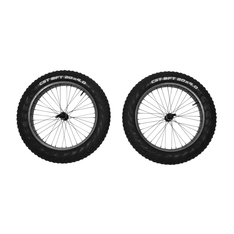 Thule - Reacha 20" Fat Tire Wheel Set - 10101415 1