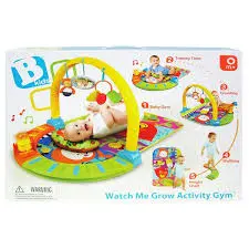 Watch Me Grow Activity Gym 1